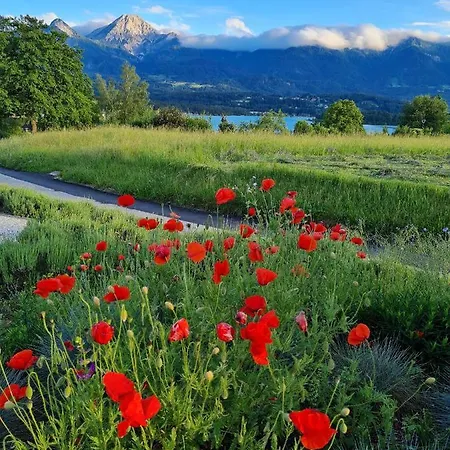 Made For Better Days Monfreda * דרובולאך אם פאקרסי