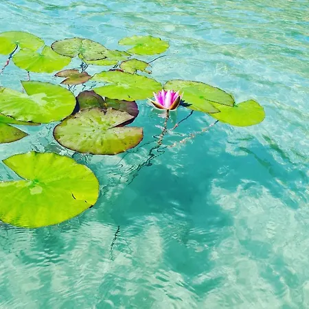 דירה Made For Better Days Monfreda *