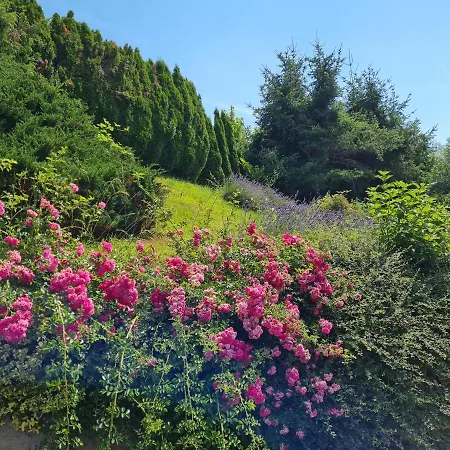 Made For Better Days Monfreda