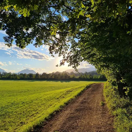 דירה Made For Better Days Monfreda *