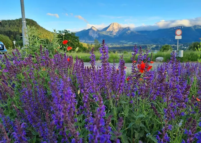 Made For Better Days Monfreda * Drobollach am Faakersee