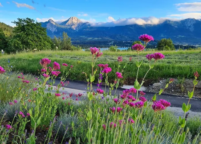 Made For Better Days Monfreda