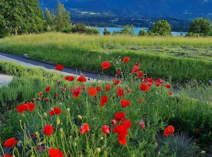 Made For Better Days Monfreda * Drobollach am Faakersee