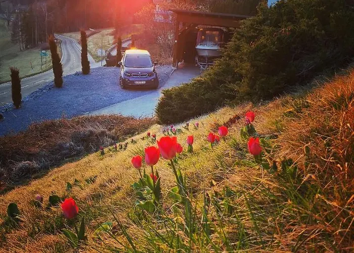 Apartament Made For Better Days Monfreda *