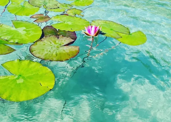 Apartmán Made For Better Days Monfreda *