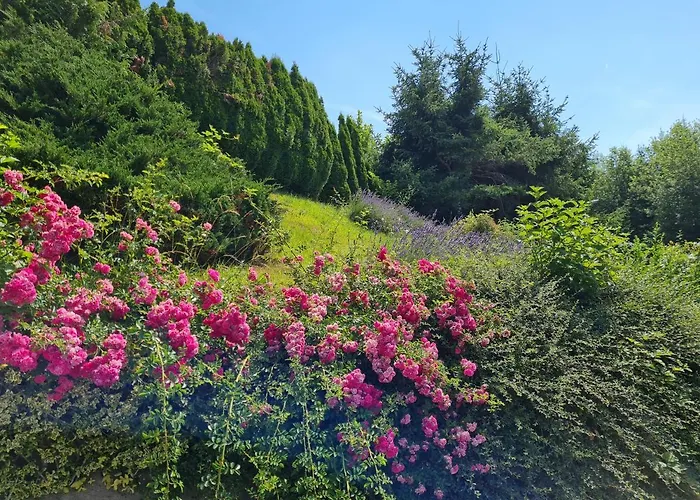 Made For Better Days Monfreda